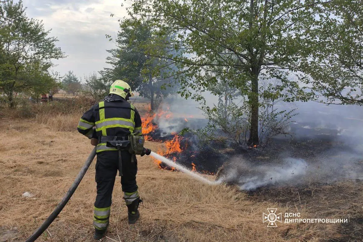 more-than-650-hectares-of-forest-burned-in-ukraine-overnight-as-a-result-of-fires