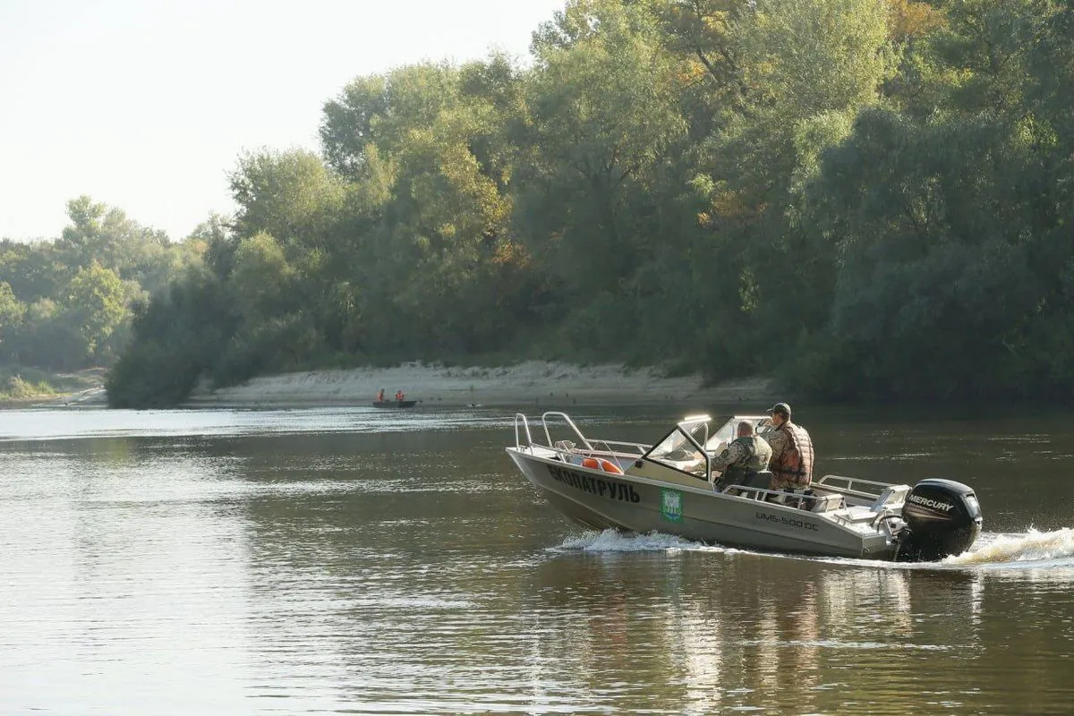 Pollution of the Seym and Desna Rivers: bans are in effect, no more massive fish killings recorded