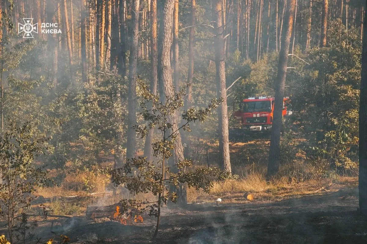 Rescuers extinguish large-scale forest fires in Kyiv region