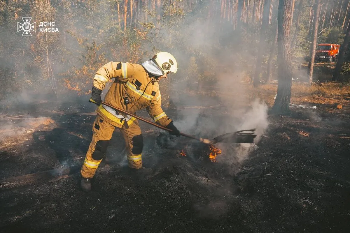 Grass fires extinguished in three districts of Kyiv: 1.63 hectares of fires