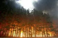 Fighting large-scale fires continues in the Chornobyl Exclusion Zone