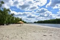 На центральном пляже Чернигова наблюдается массовый замор рыбы - городской голова