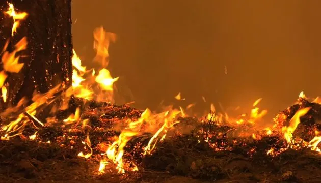 Рятувальники запобігли масштабній пожежі села на Київщині