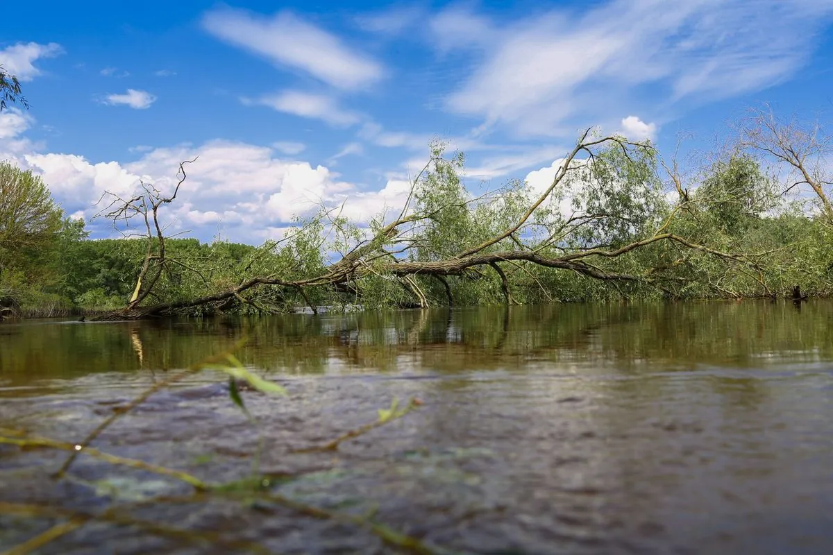 Міндовкілля: забруднення води просунулись по Десні, найгірші проби - в Чернігові 