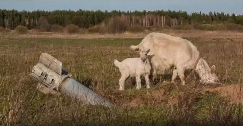 ekolohichni-zbytky-ukrainy-vid-viiny-siahnuly-60-mlrd-yevro