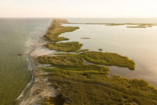 Police confirm massive poaching in Tuzly Estuaries National Park - management justifies it by demand