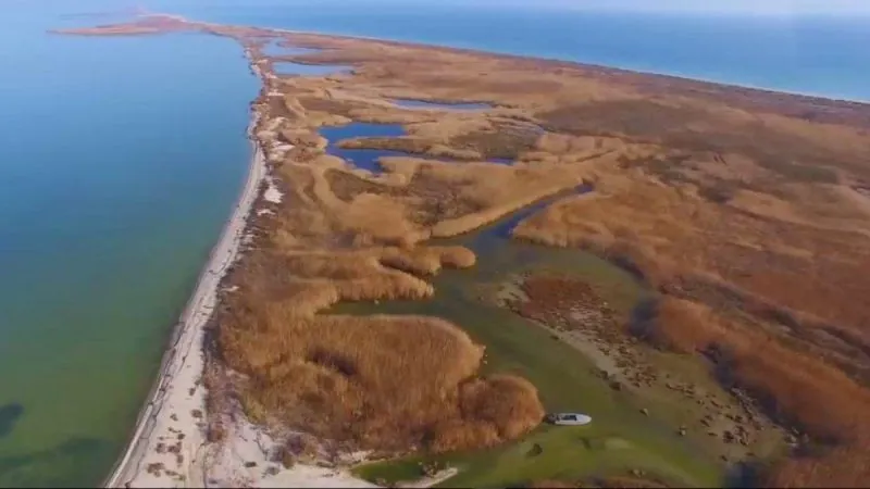 Mass poaching and devastation of nature: what problems of the Tuzly Estuaries National Park are ignored by the Ministry of Ecology