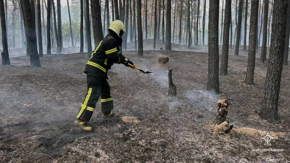 В Черкасской области второй день продолжается лесной пожар на 20 га