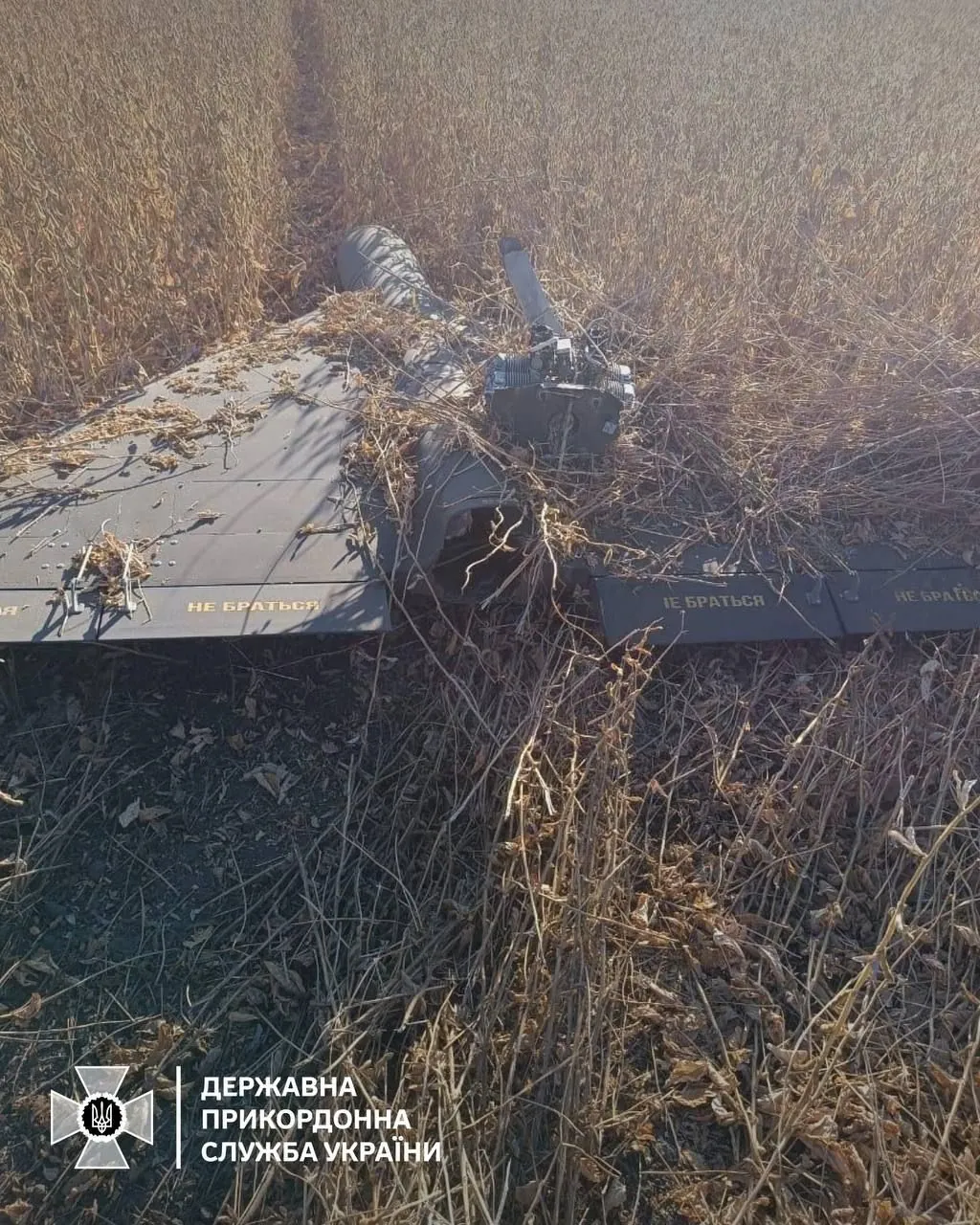 Border guards shoot down a “Shahed” with small arms in Sumy region