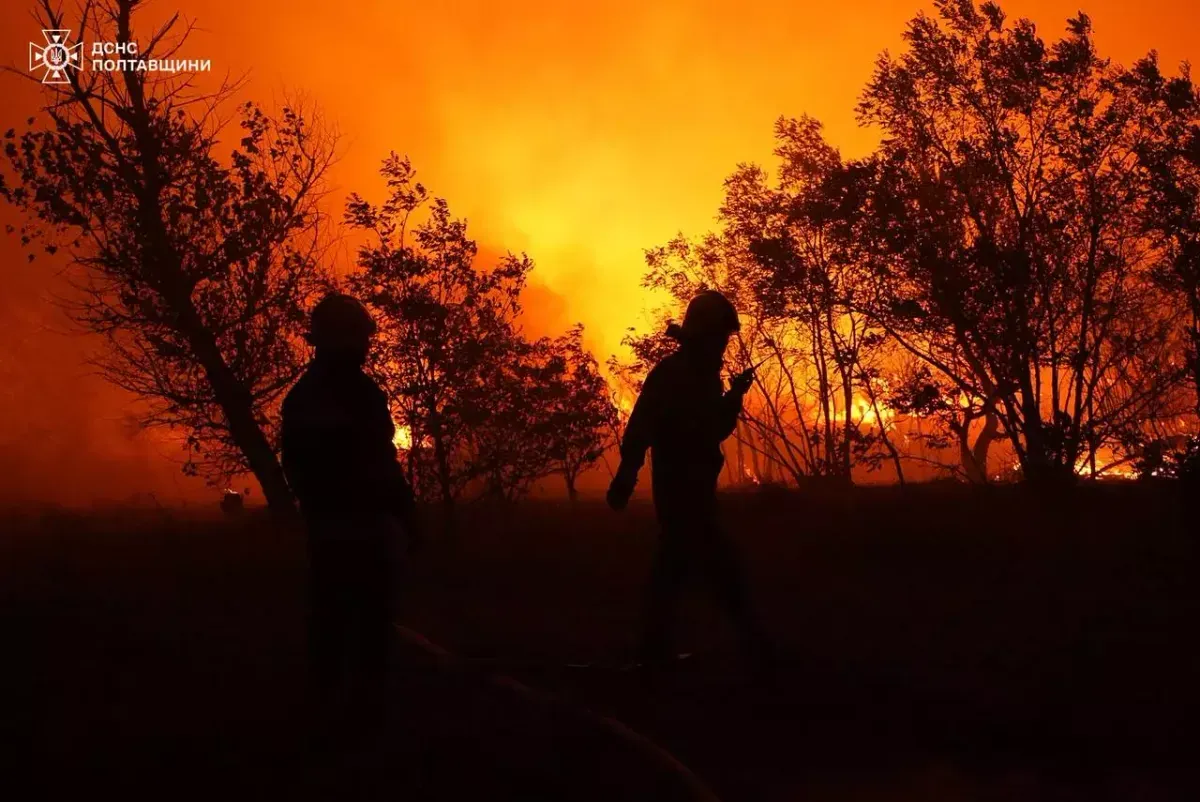 The fire has already covered almost 700 hectares: a large-scale forest fire is being extinguished in Poltava region for the second day