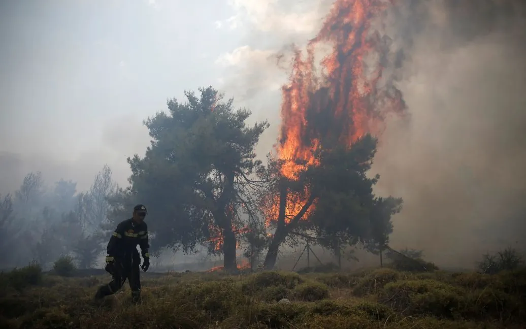 Portugal asks for help from the European Commission due to forest fires