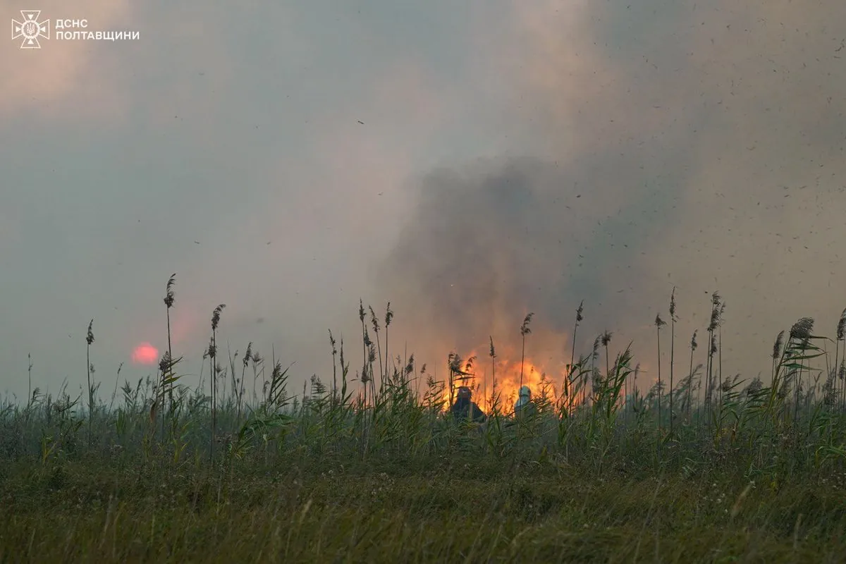 Large-scale forest fire in Poltava region: 5 houses caught fire, people evacuated