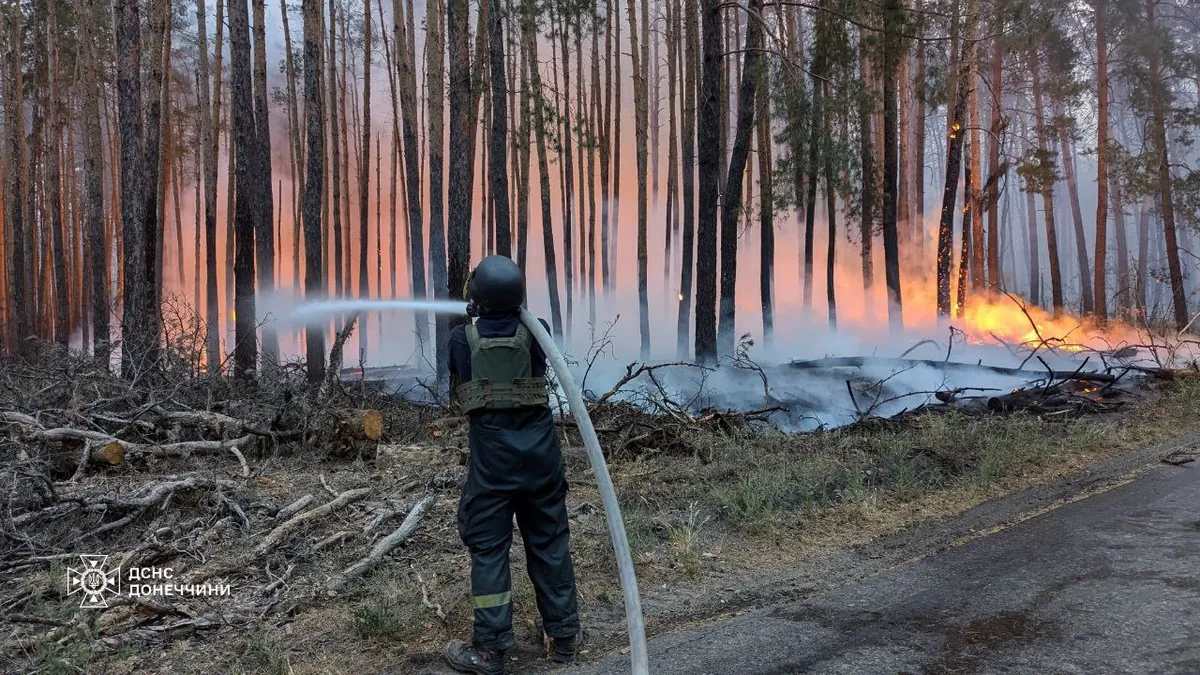 Міндовкілля про масові пожежі: лише за добу ліквідовано понад 50 загорянь 