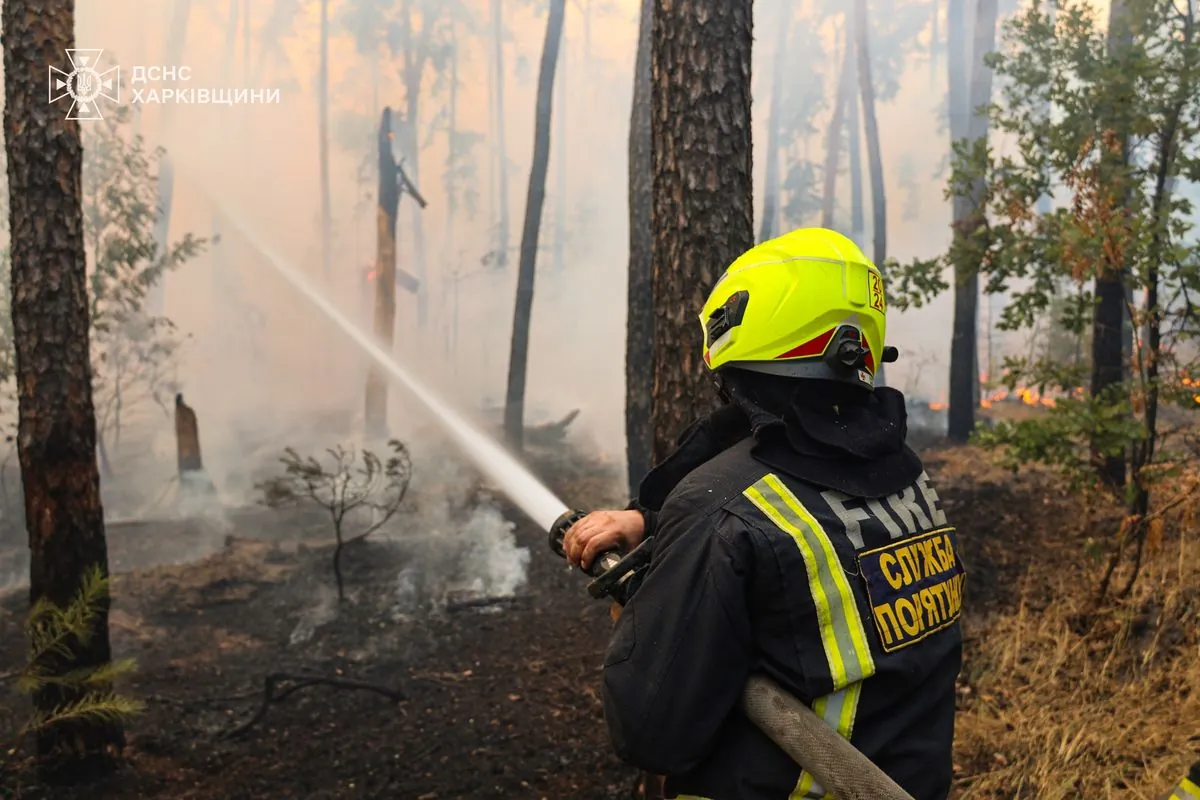 “The situation is difficult but under control": Wildfires in Kharkiv region engulf about 14 locations