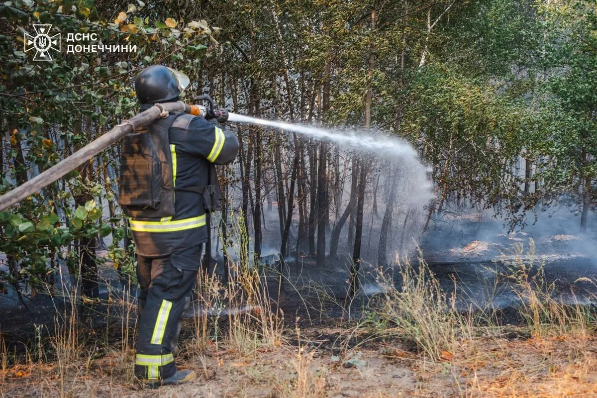 the-fire-has-covered-more-than-500-hectares-a-large-scale-forest-fire-has-been-burning-in-donetsk-region-for-four-days