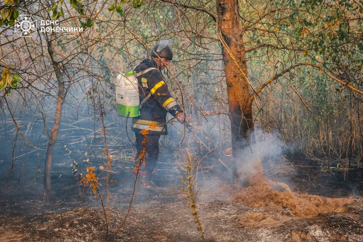 fire-of-400-hectares-extinguished-in-donetsk-region-rma