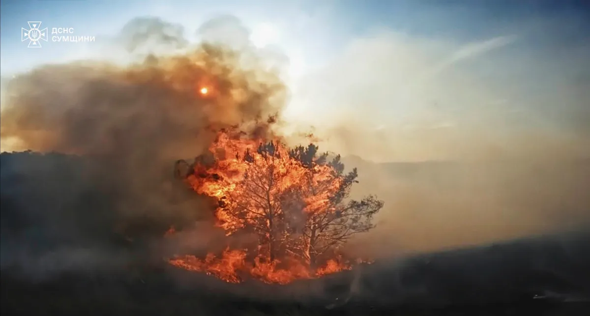 In Sumy region, Russians drop incendiary mixture on forests from drones