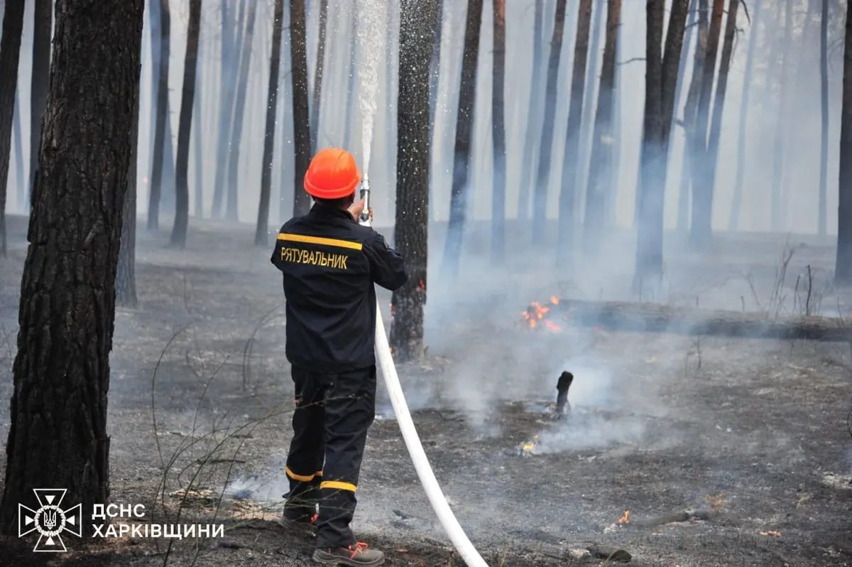 Large-scale forest fire in Kharkiv region continues for the second day: extinguishing is difficult due to mines