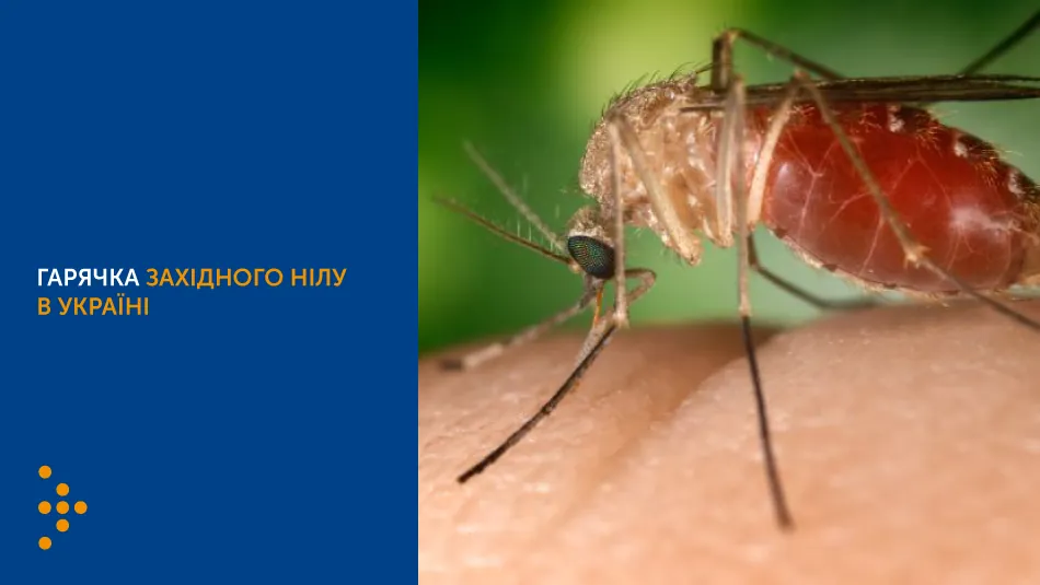 two-cases-of-west-nile-fever-detected-in-khmelnytsky-region