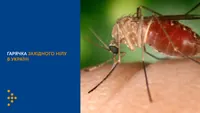 Two cases of West Nile fever detected in Khmelnytsky region