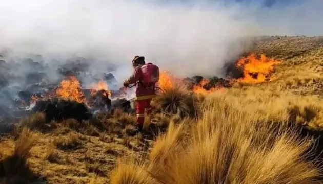 Peru walczy z ogromnymi pożarami lasów w całym kraju