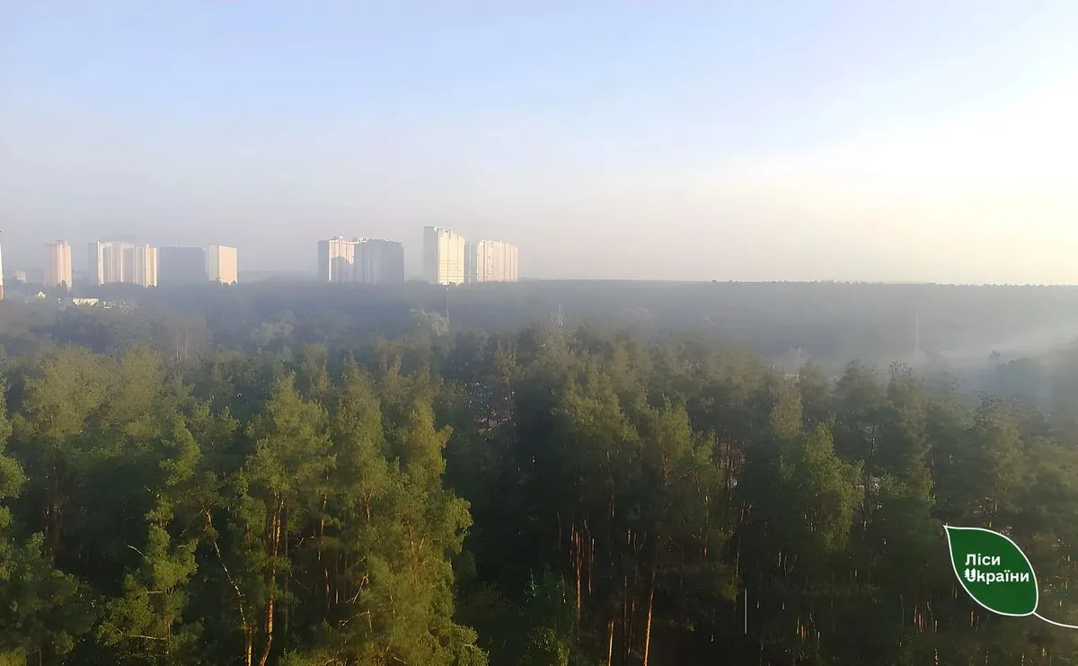 “Smog in the capital arose for other reasons": Forests of Ukraine denies deterioration of air quality due to fires in forestries in Kyiv region