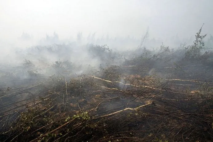 Peat bogs burning: the Ministry of Environment named a new cause of air pollution in Kyiv