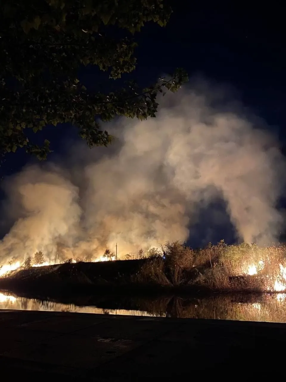 The largest park in occupied Mariupol is on fire