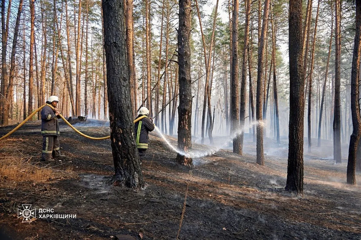 More than 1160 hectares of forest are burning in Balakliya, and there are separate fire centers in Poltava region