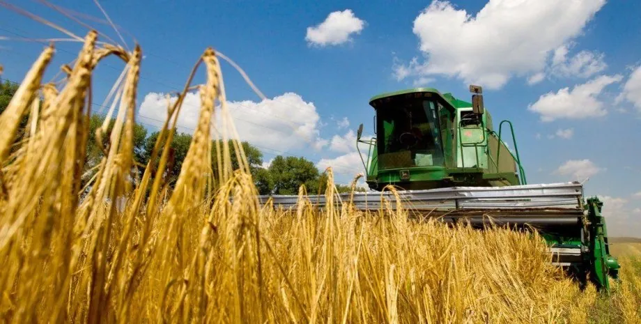 Ukraine harvested 40 million tons of new crop - Shmyhal