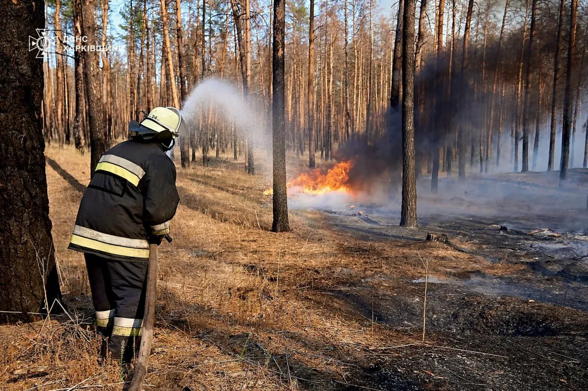 115-fires-were-recorded-in-kharkiv-region-regional-state-administration-instructed-to-update-evacuation-plans