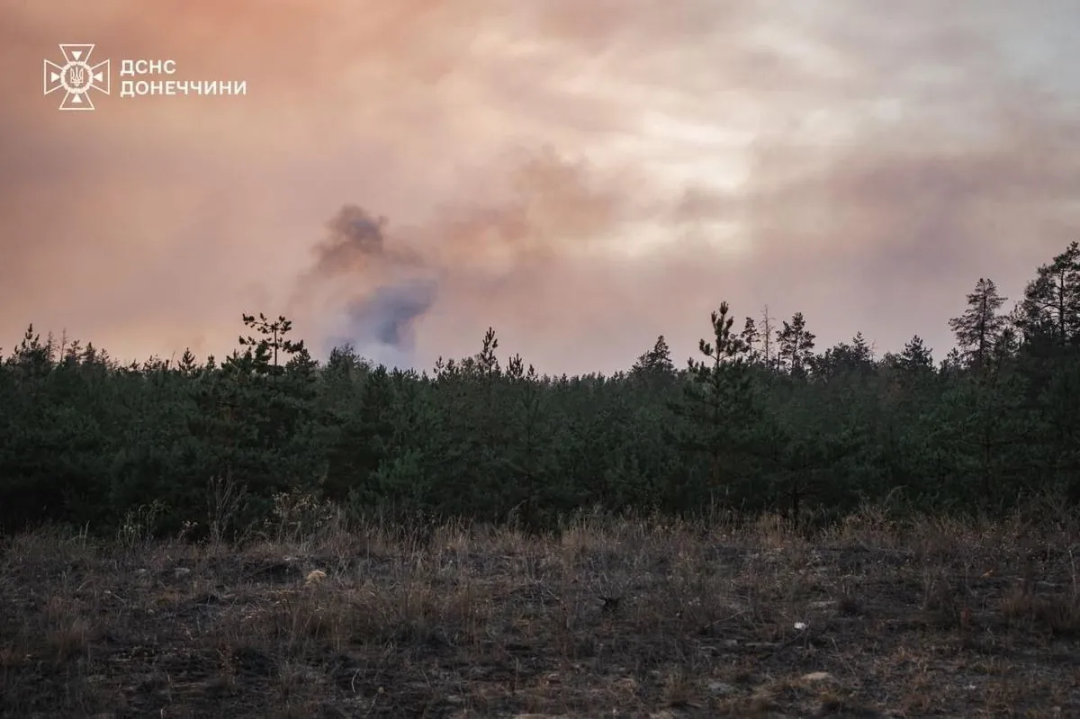 Масштабну лісову пожежу на Донеччині локалізували