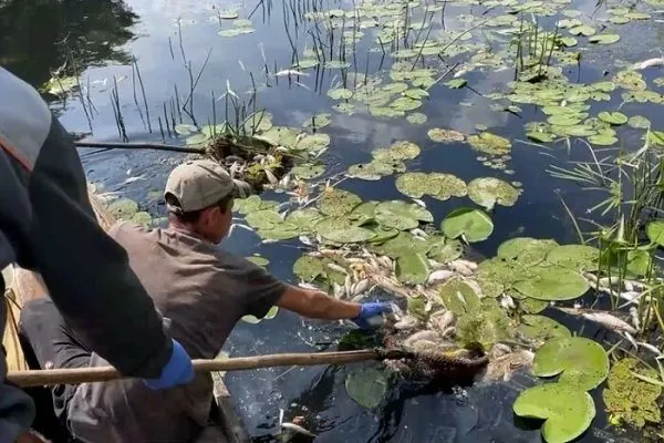 Sumy RMA on pollution of the Seim River: it is a targeted action of the enemy