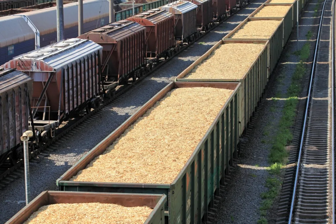 Despite Russia's attacks, Ukrzaliznytsia has transported more than 20 million tons of grain for export this year - Brink