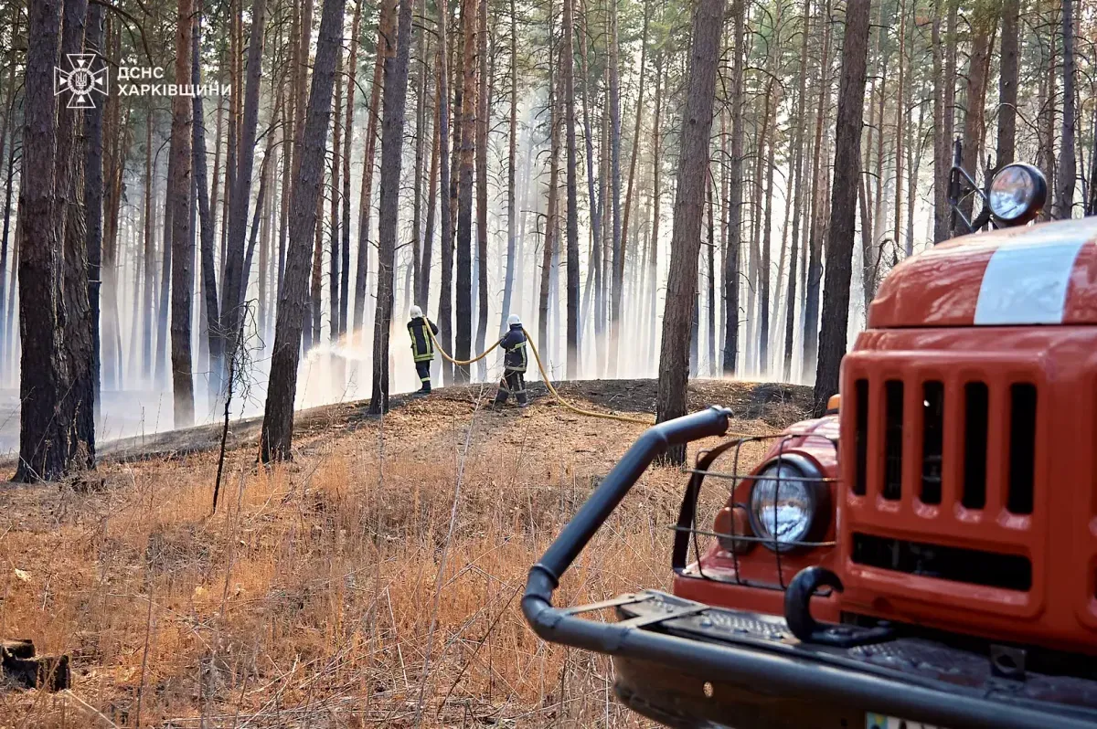 Large-scale forest fire localized in Kharkiv region - SES