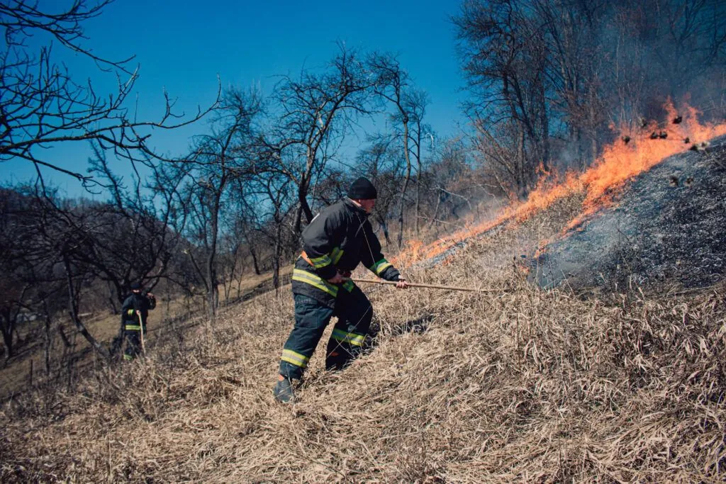 the-forests-of-ukraine-claim-that-one-of-the-causes-of-the-forest-fires-was-arson-by-russian-saboteurs