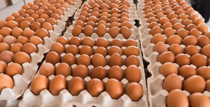 Bulgaria asks the European Commission to suspend imports of Ukrainian eggs