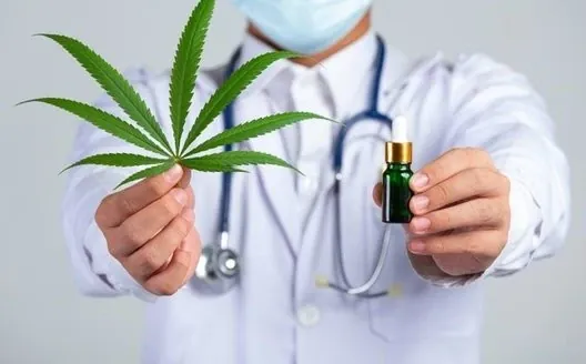 who-can-get-medical-cannabis-the-ministry-of-health-has-approved-a-list-of-diseases-and-conditions