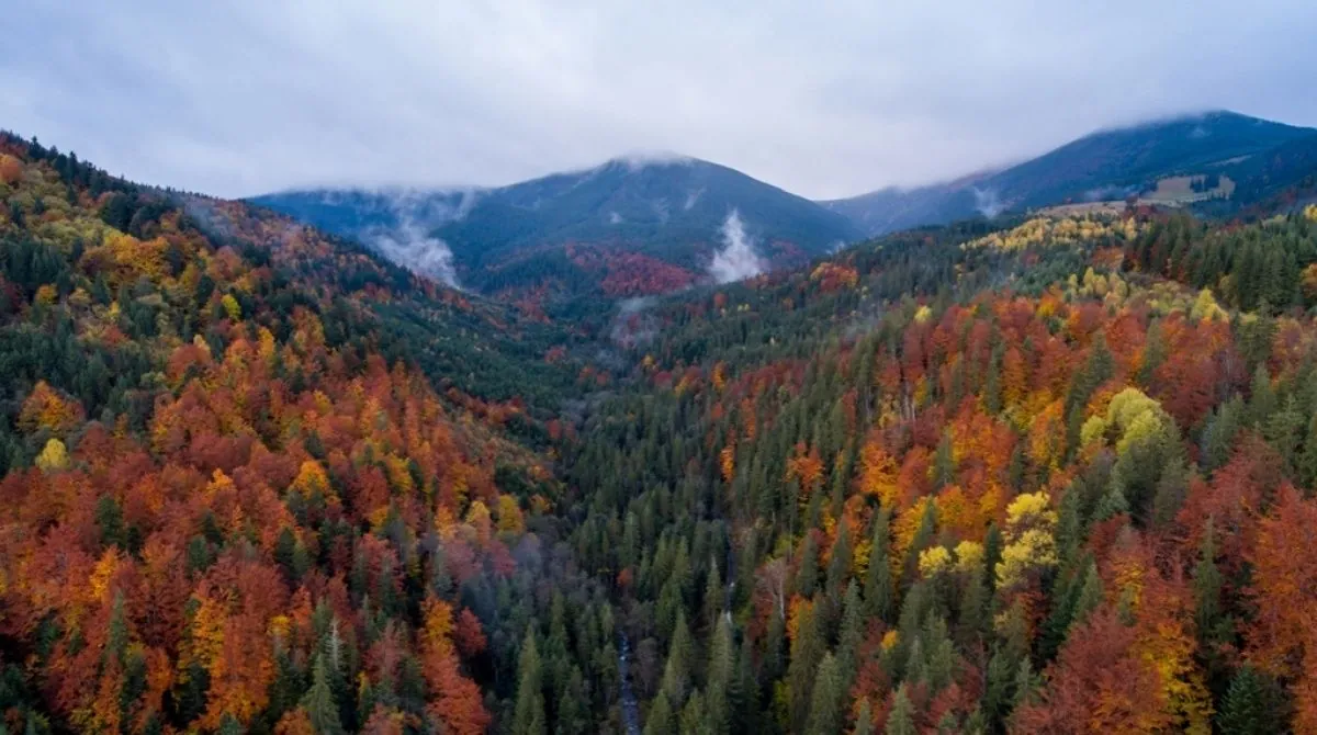 wet-snow-in-the-carpathians-what-the-weather-will-be-like-on-monday