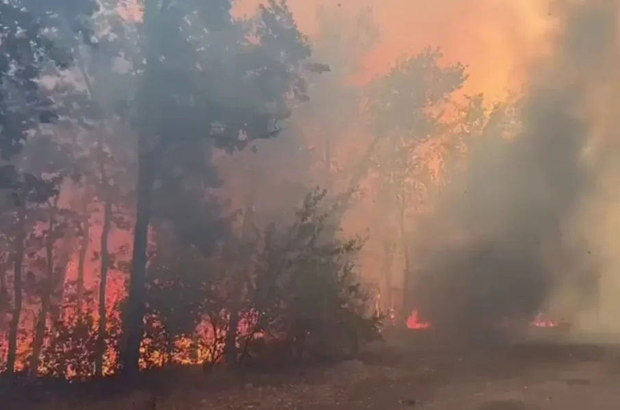 Failure of the occupation authorities to localize the fire: people in the TOT of Luhansk region are forced to leave their burning homes