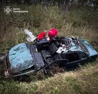 Driver dies after car collides with cattle in Lviv region