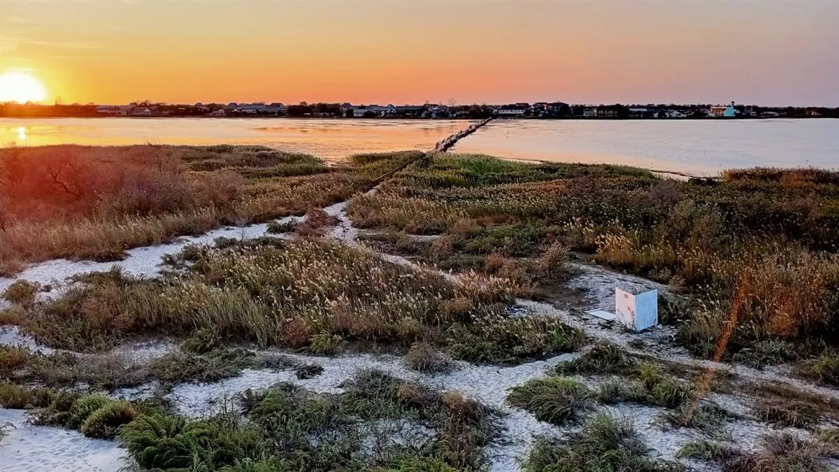 Another mass poaching in the Tuzly Estuaries National Park. The Ministry of Ecology ignores