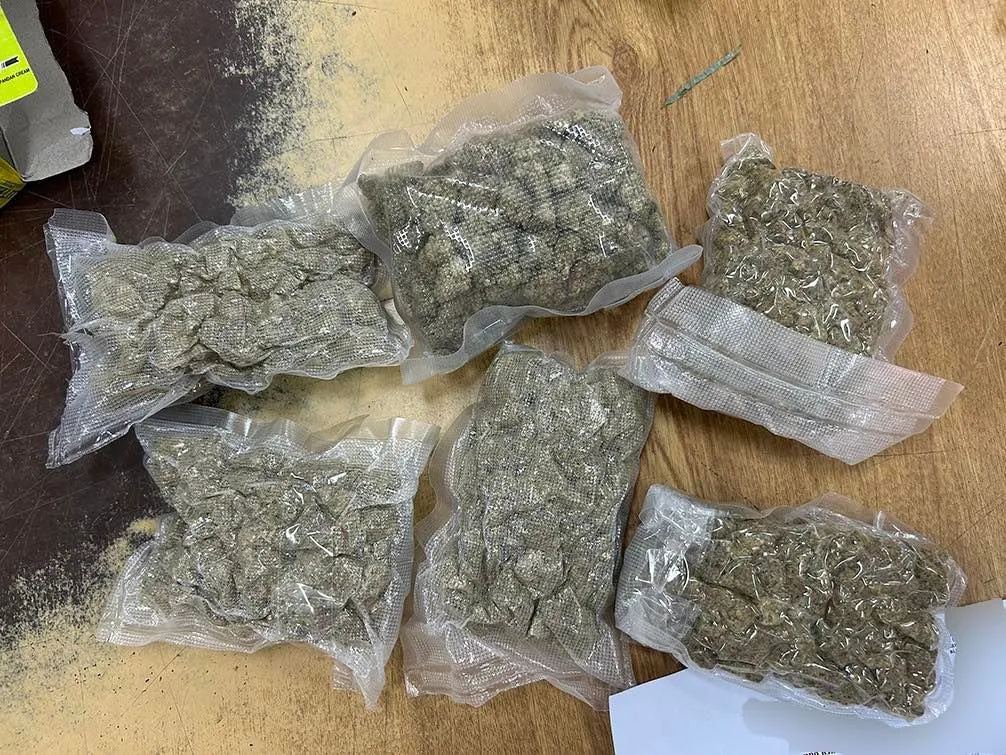 Drugs instead of construction sets: customs officers found 3 kg of cannabis in parcels from Thailand