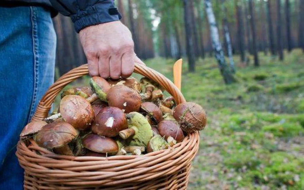 October 3: World Mushroom Day, International Smoothie Day