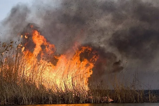 Smoke in Sumy due to fires provoked by enemy shelling - RMA