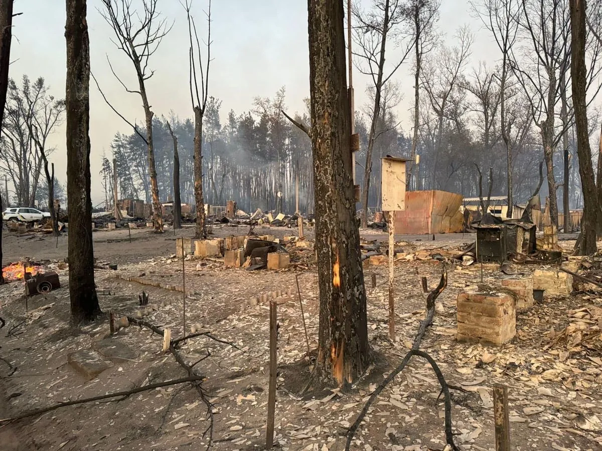 На Харківщині четверо людей згоріли живцем через лісову пожежу