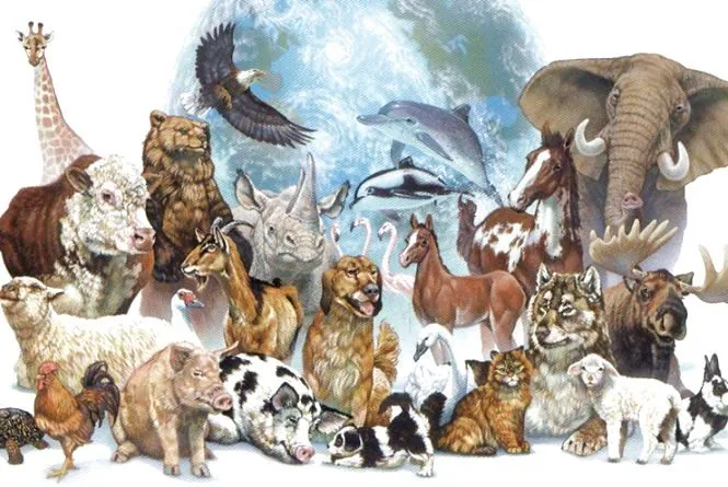 october-4-world-animal-day-smile-day