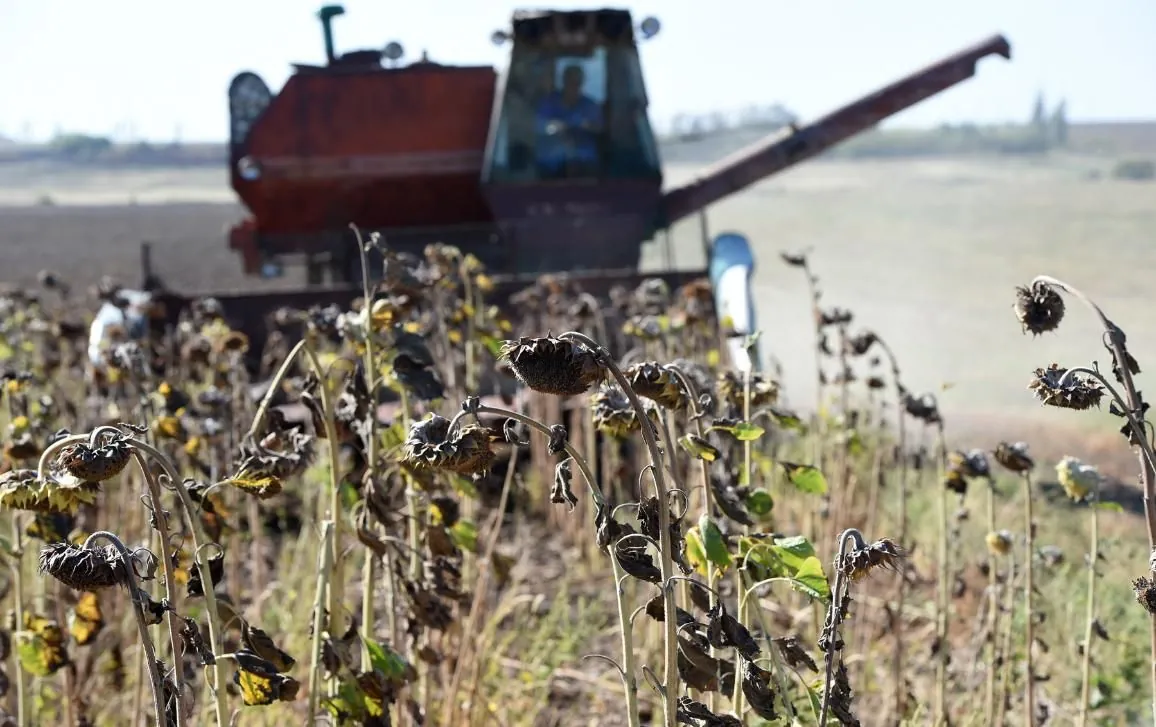 Ukraine has already exported 11 million tons of grain this season