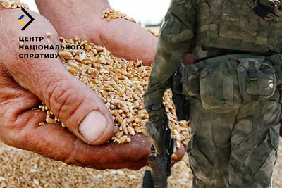 Russians take another 8 thousand tons of Ukrainian grain from occupied Mariupol - National Resistance Center