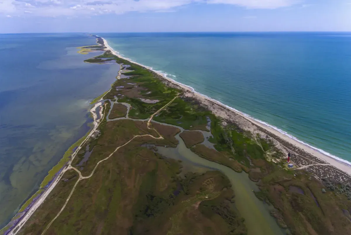 State Audit reveals signs of criminal offenses in the activities of the management of the Tuzly Estuaries National Park - materials sent to the State Bureau of Investigation